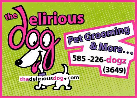Jobs in Delirious Dog Grooming and Boarding - reviews